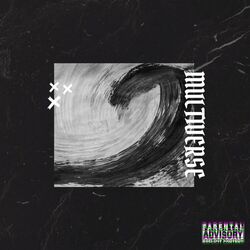 Cover of Multiverse