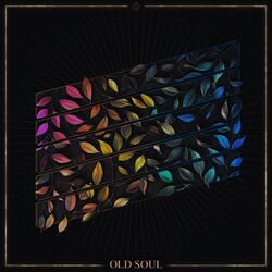 Cover of Old Soul