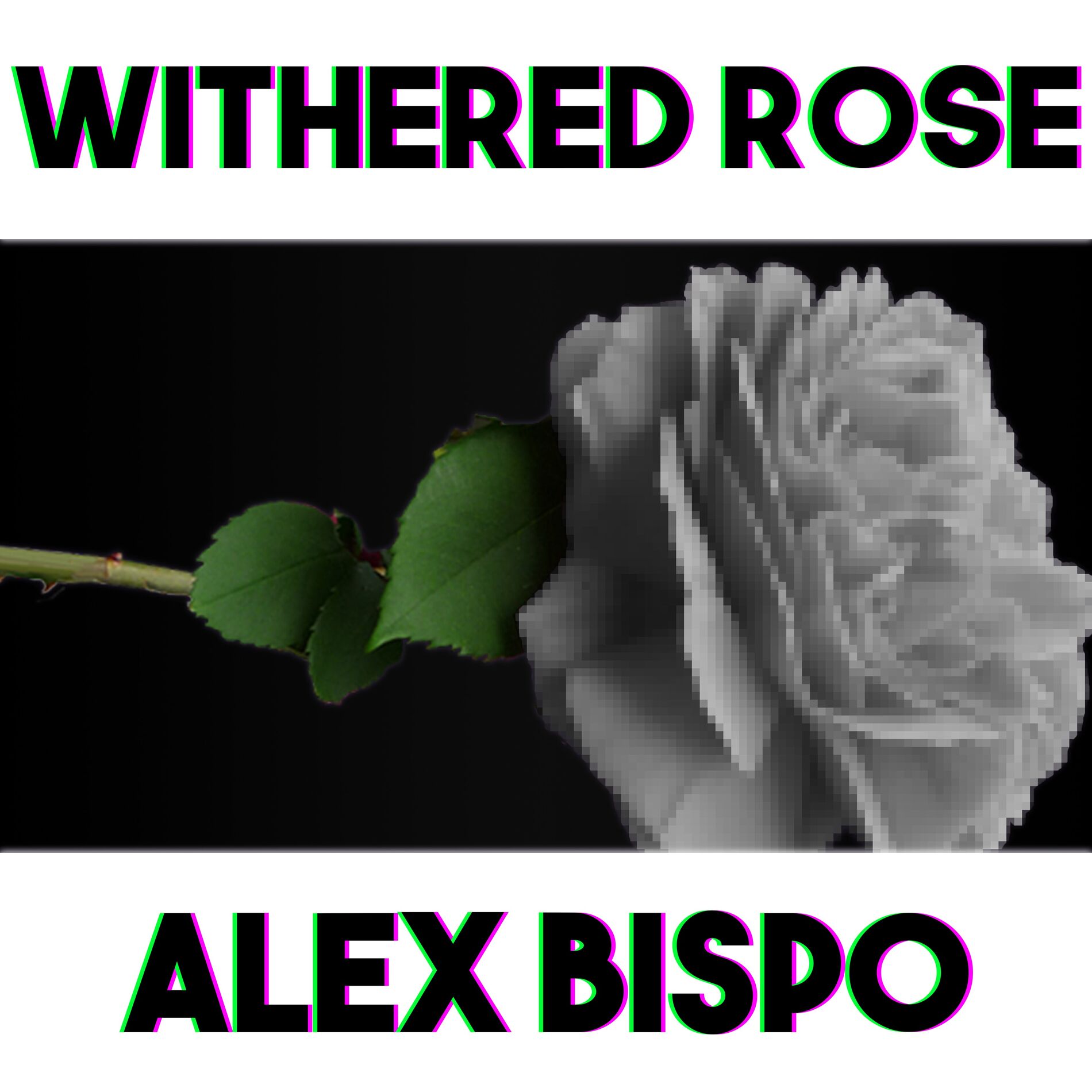 Album cover of Withered Rose