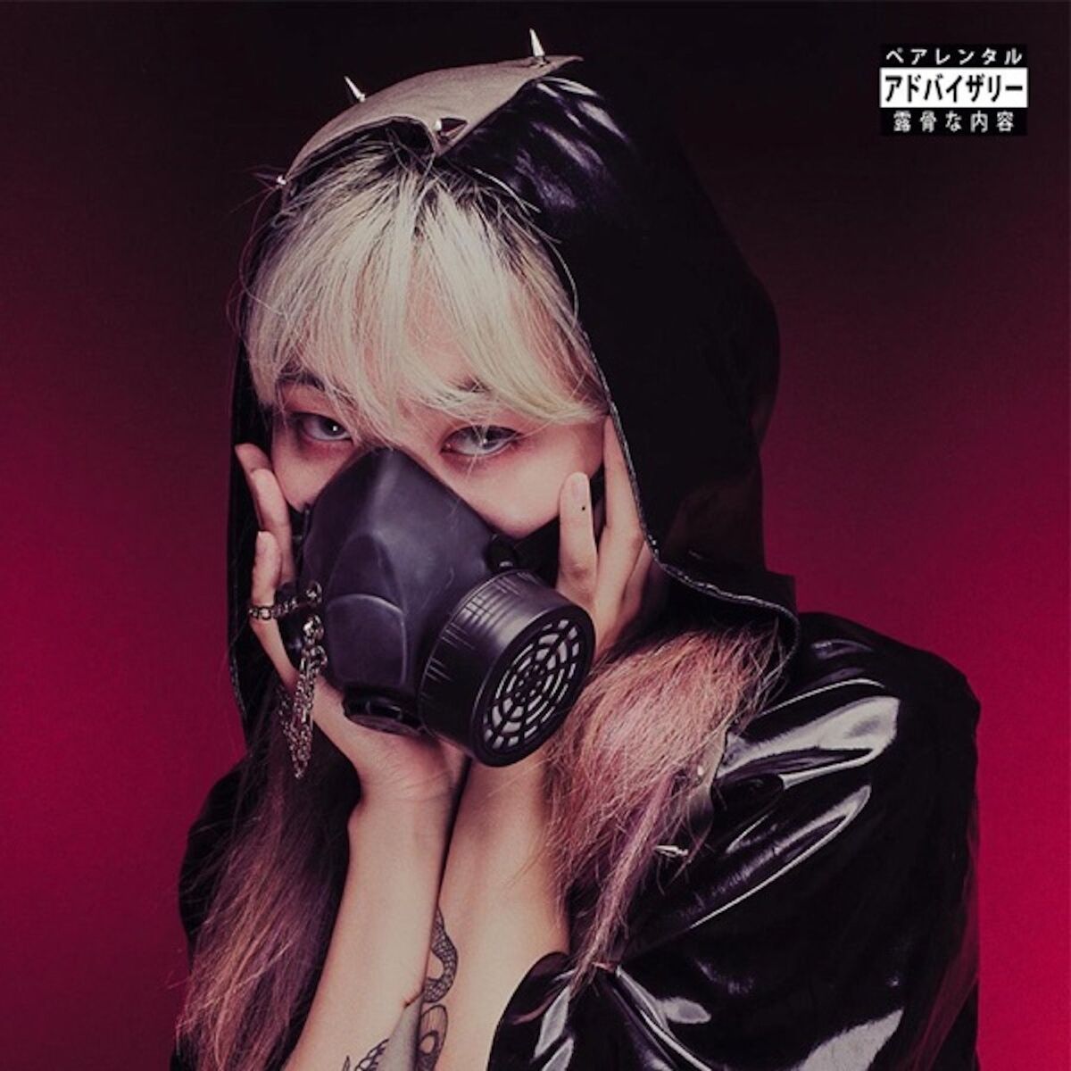 Album cover of The Alchemist