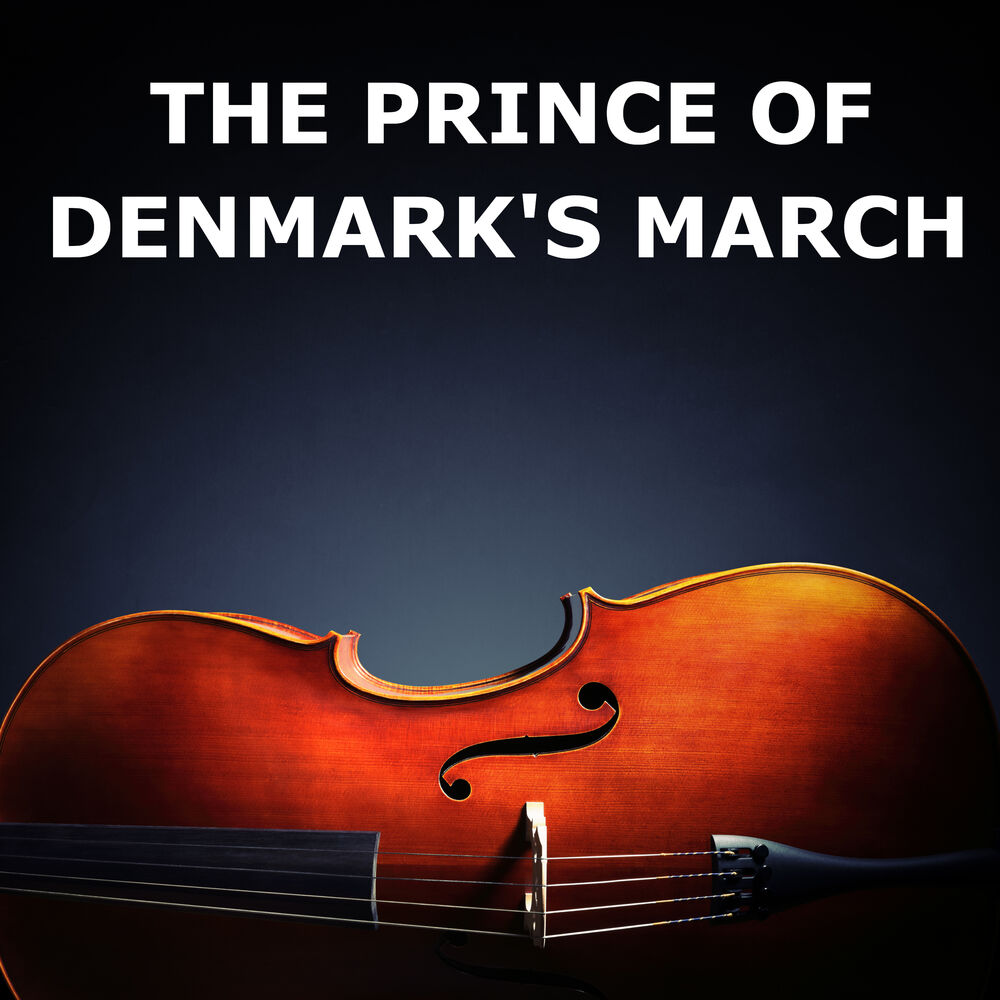 Picture of The Prince of Denmark