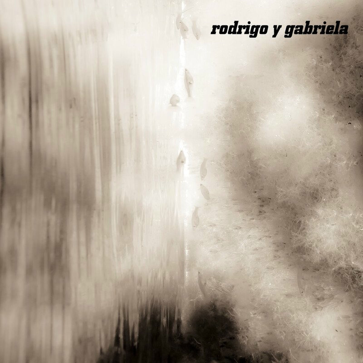 Album cover of Weird Fishes & Symphony No. 25 In G Minor