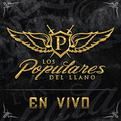 Cover of Corridos y Canciones