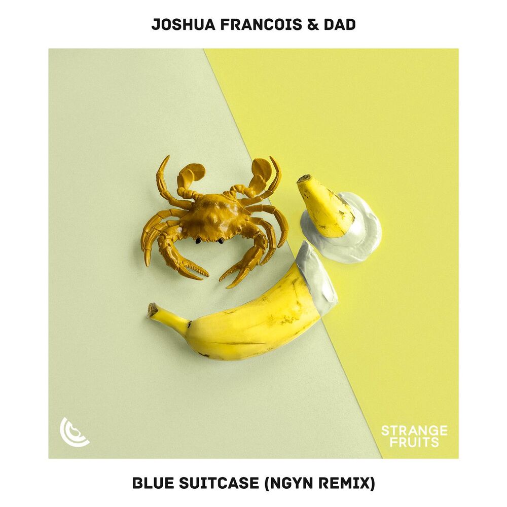 Picture of Blue Suitcase (Ngyn Remix)