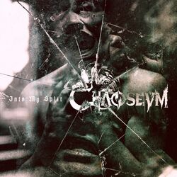 Cover of Into My Split