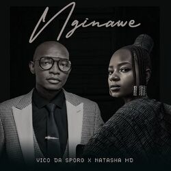 Cover of NGINAWE