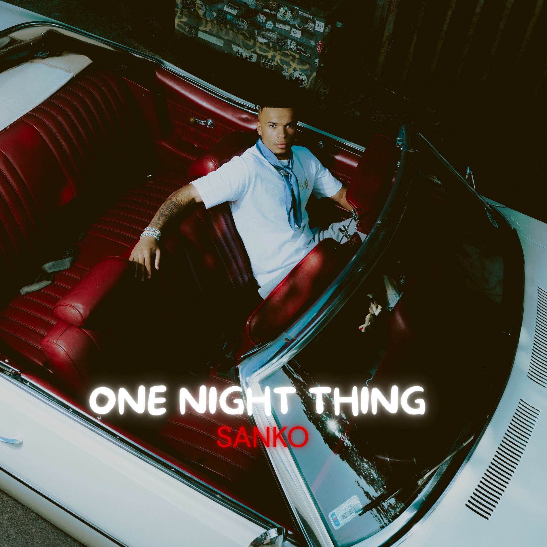 Album cover of One Night Thing