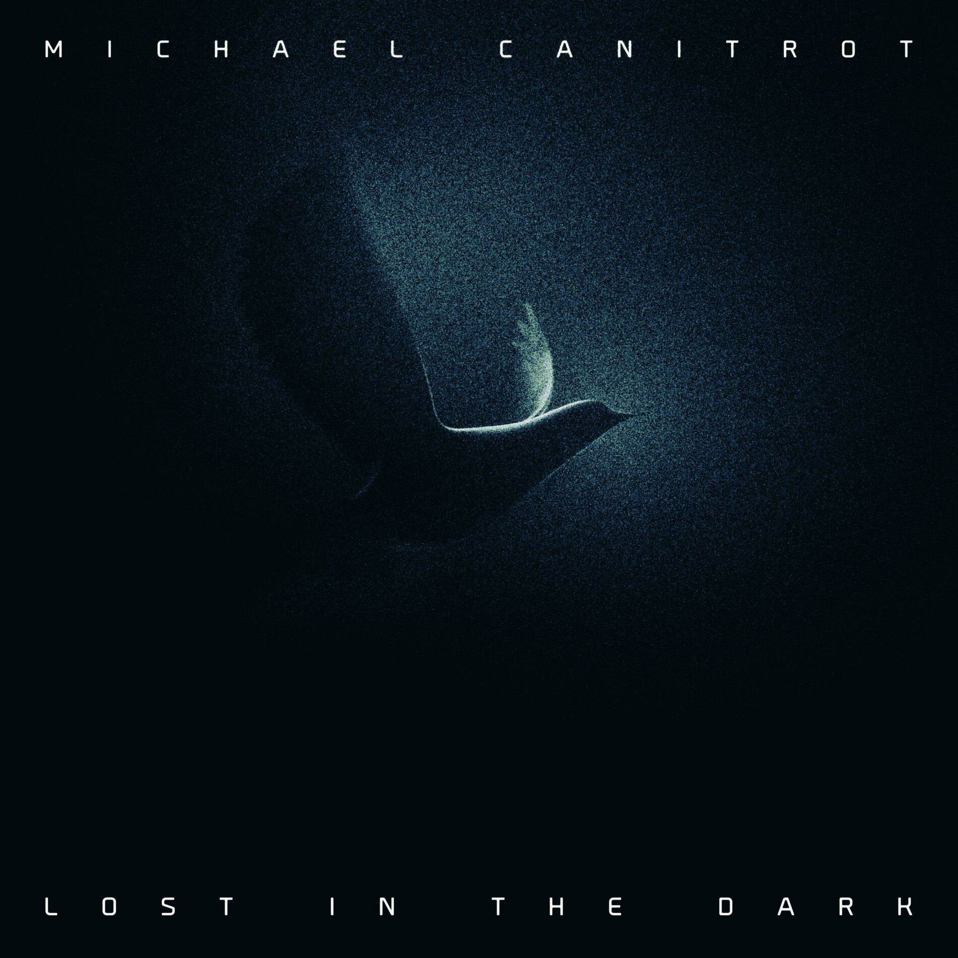Album cover of Lost in the Dark