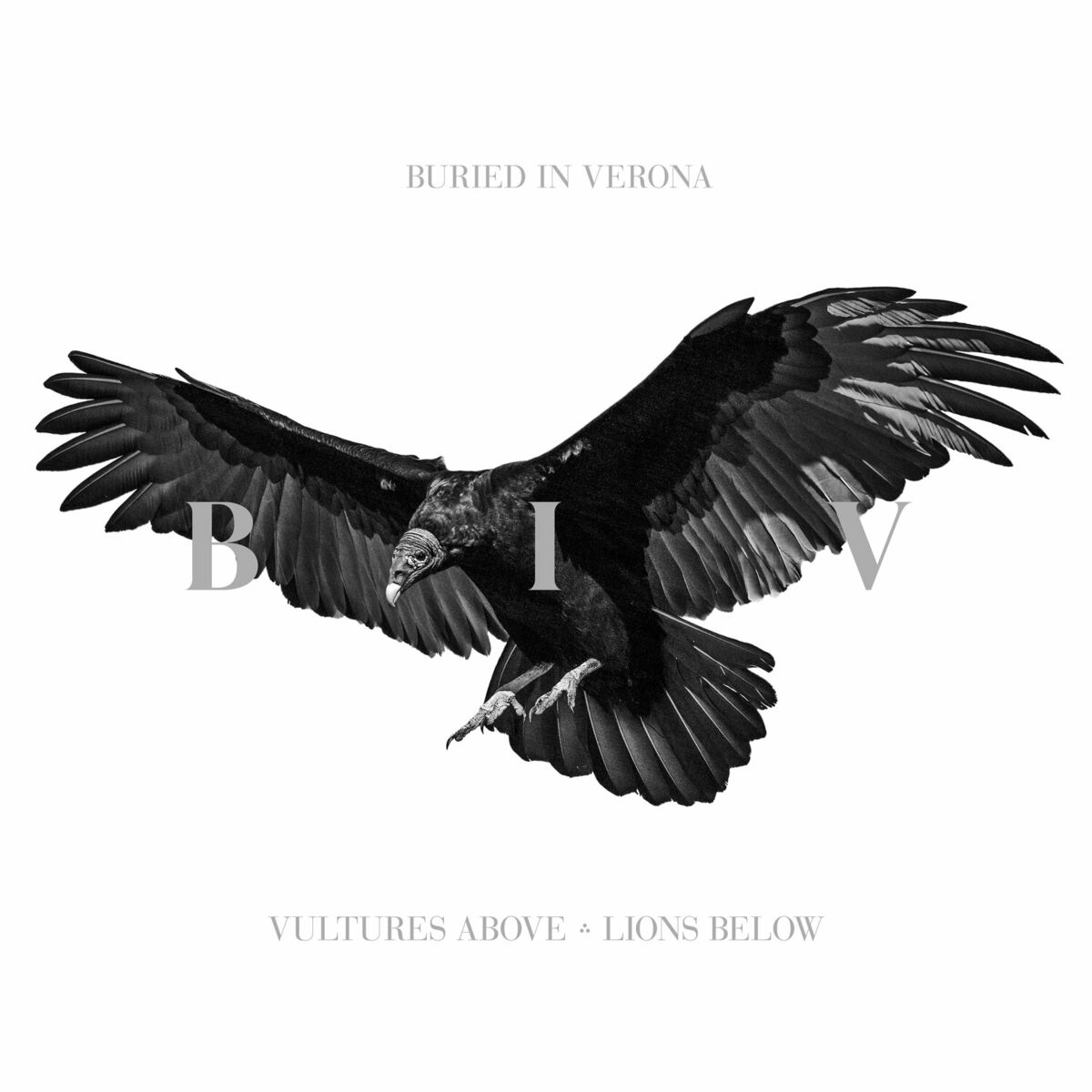 Album cover of Vultures Above