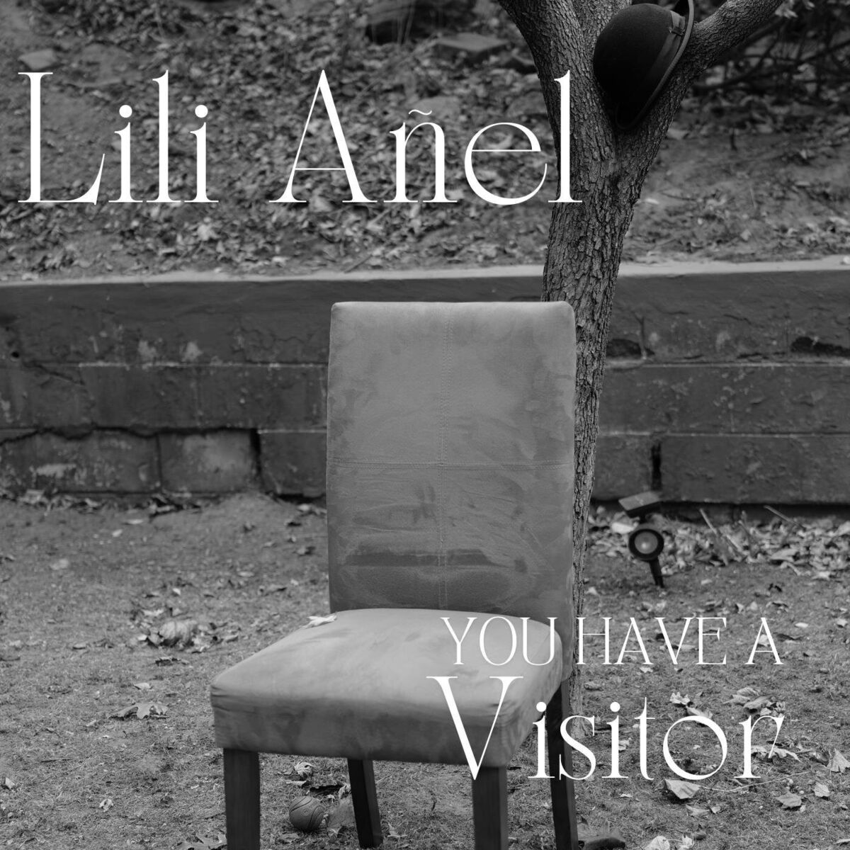 Album cover of You Have a Visitor
