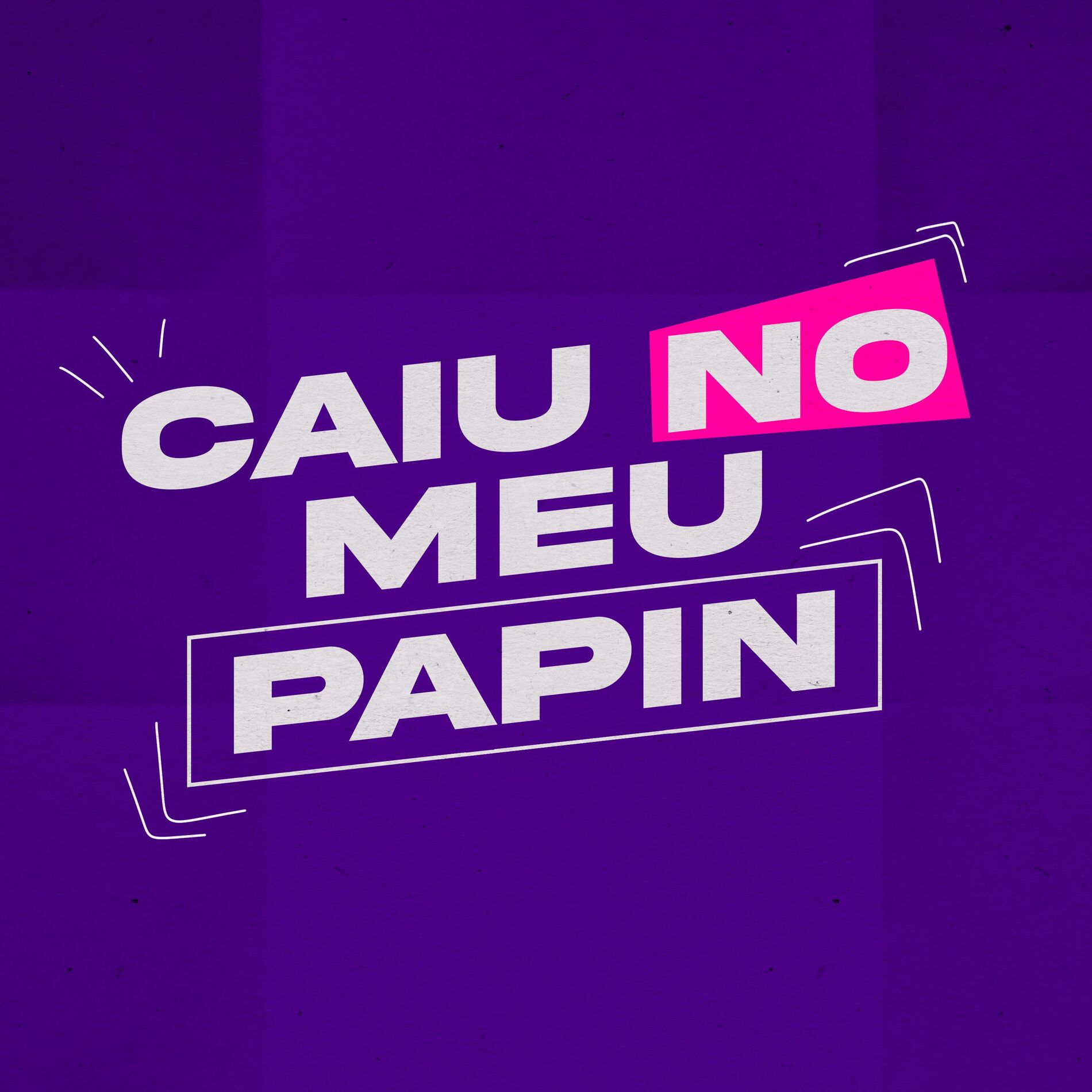 Album cover of Caiu no Meu Papin