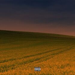 Cover of Summer