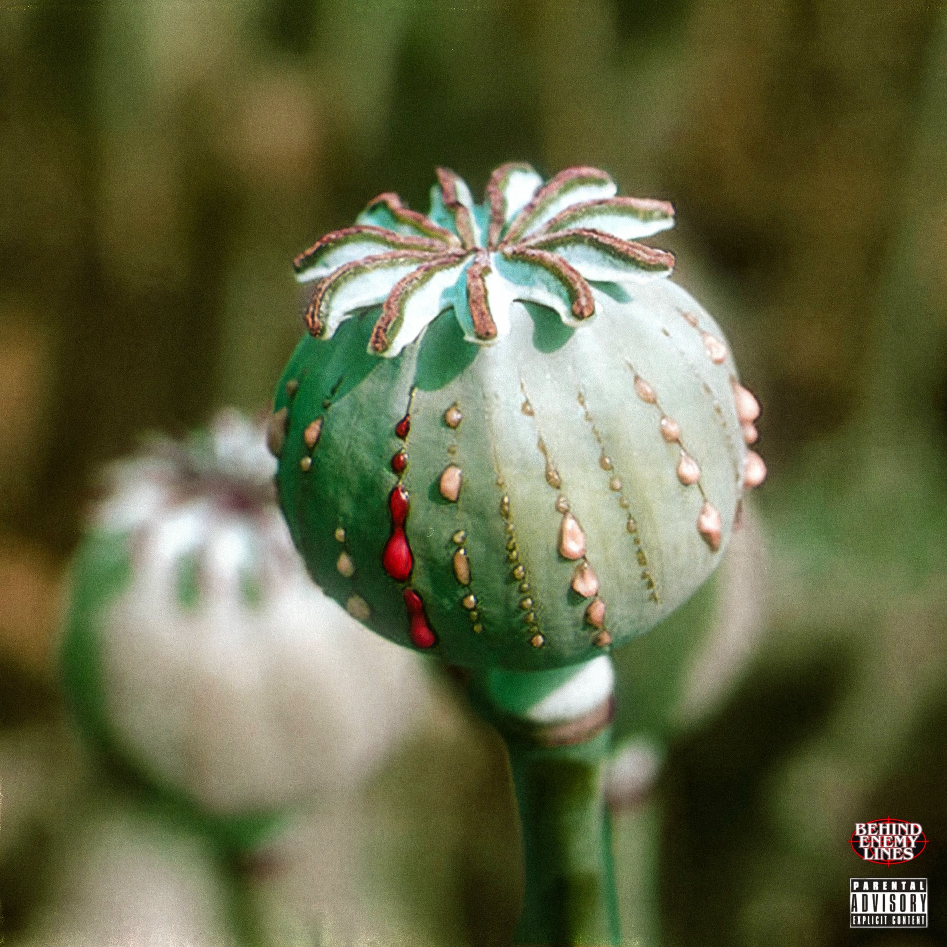 Album cover of OPIUM