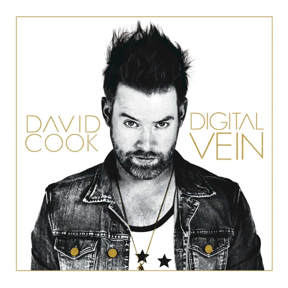 Album cover of Digital Vein