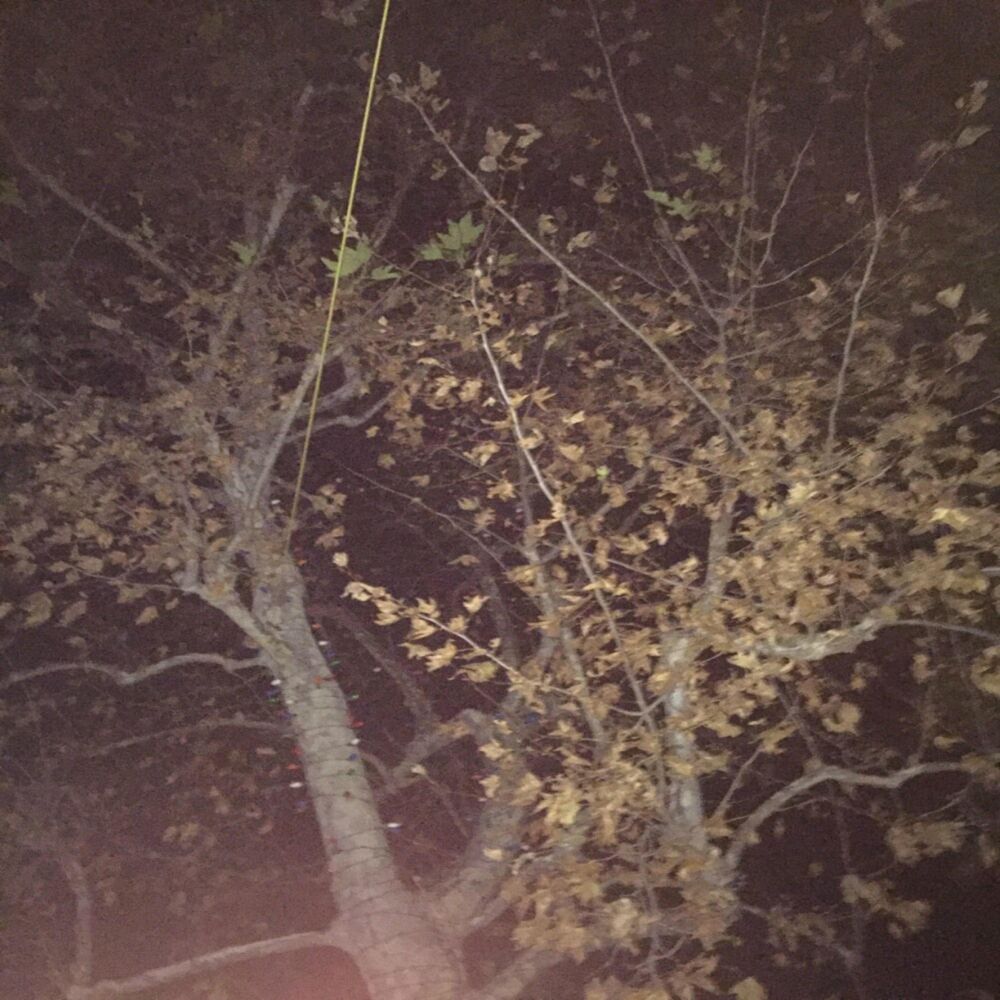 Picture of The Place I Call Home