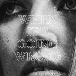Cover of When It's Going Wrong