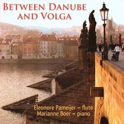 Cover of Between Danube and Volga