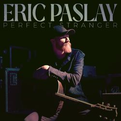 Cover of Perfect Stranger