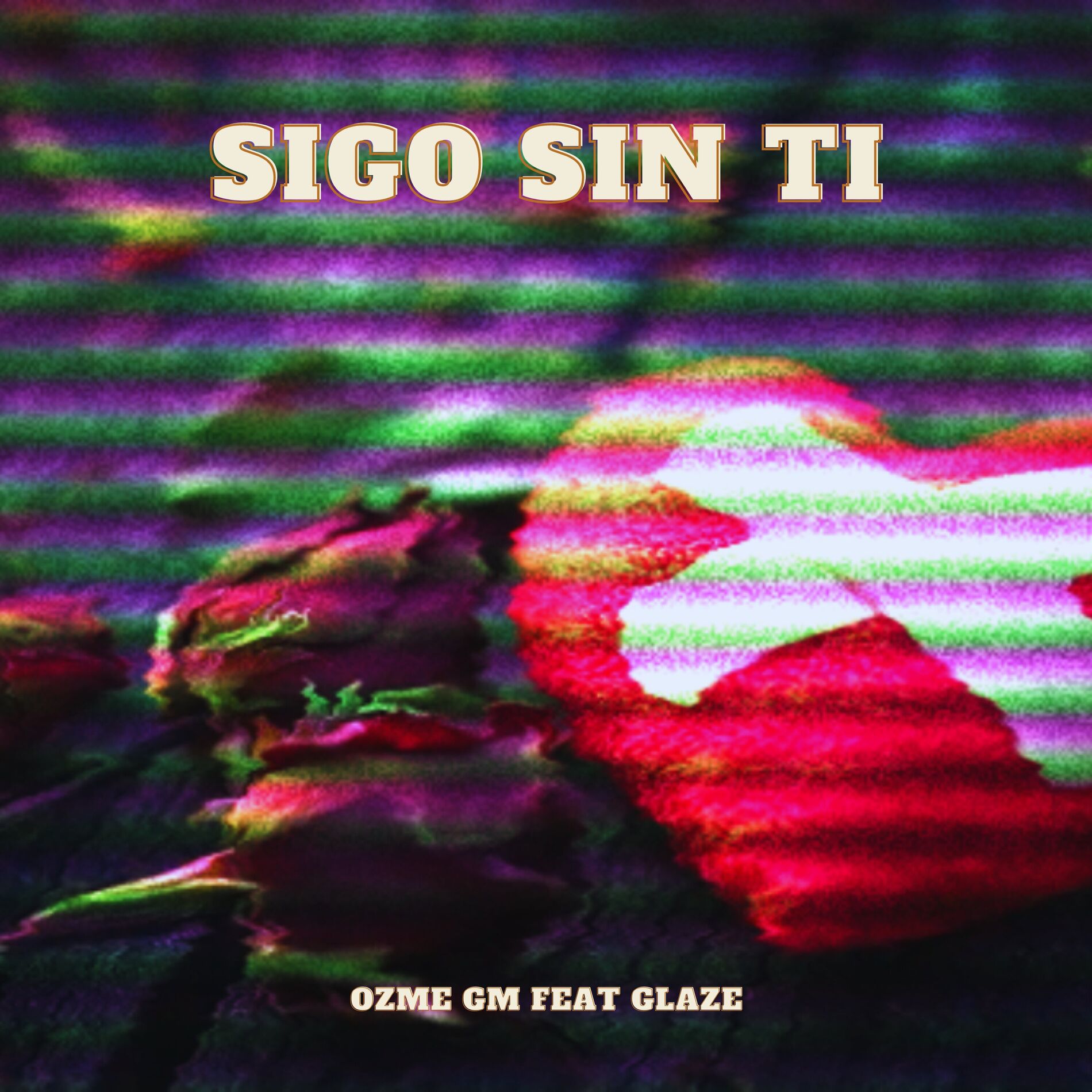 Album cover of Sigo Sin Ti