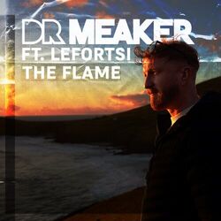 Cover of The Flame