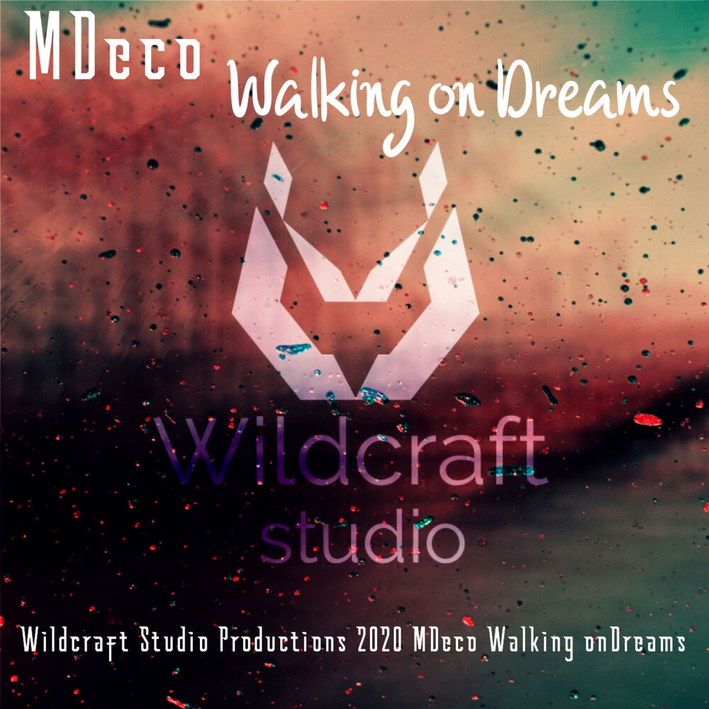 Picture of Walking on Dreams