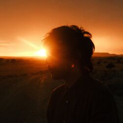 Cover of Lost In The Sun