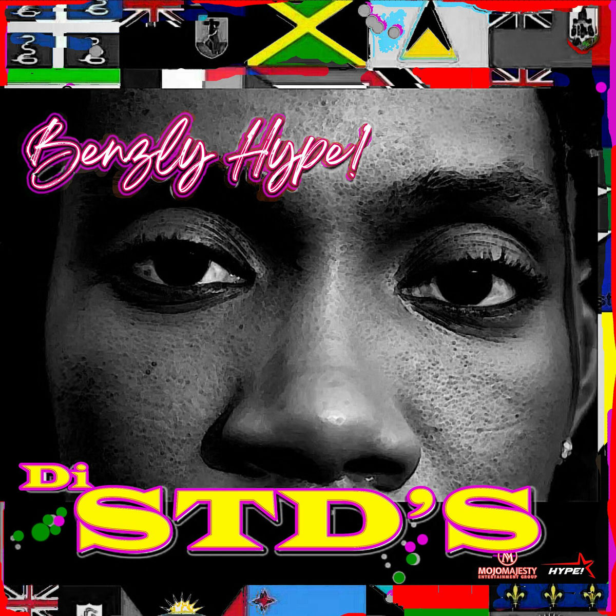 Album cover of Di Std's