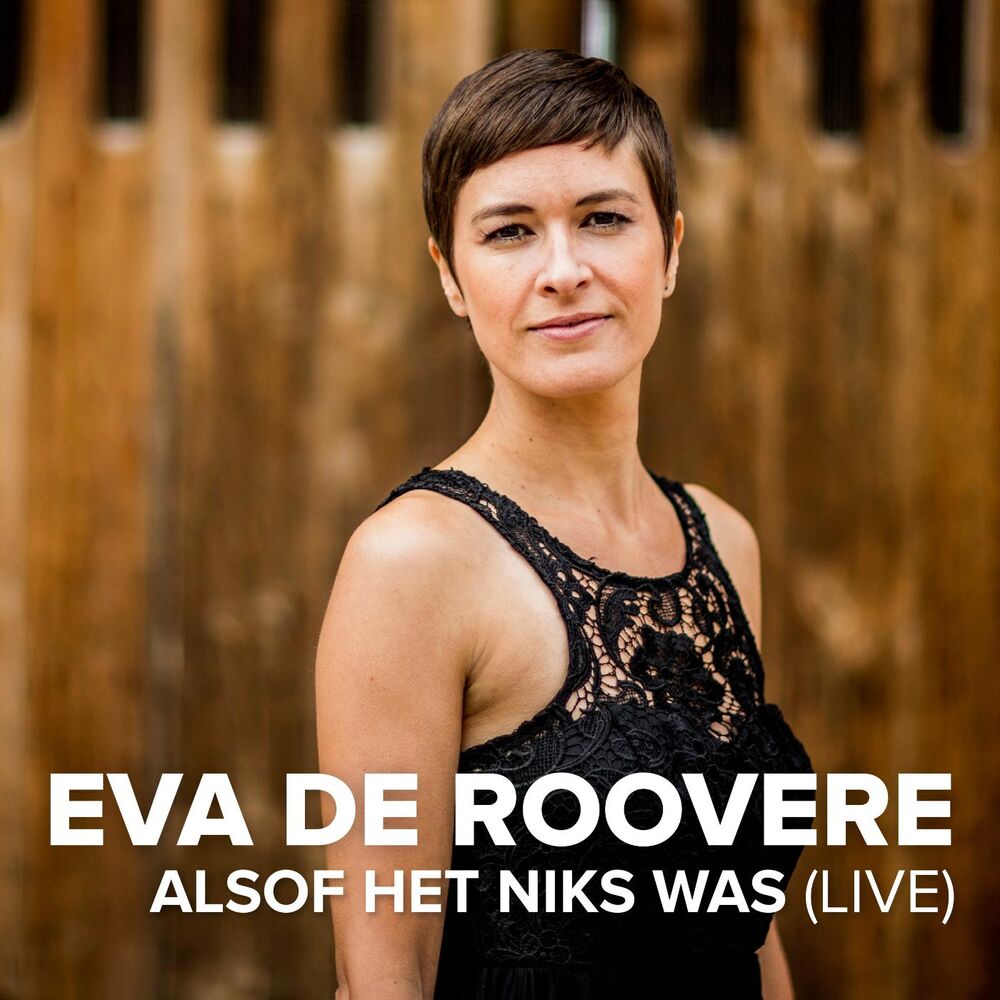 Picture of Alsof Het Niks Was ( Live )