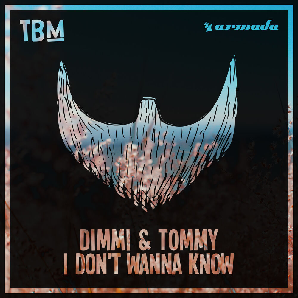 Picture of I Don't Wanna Know