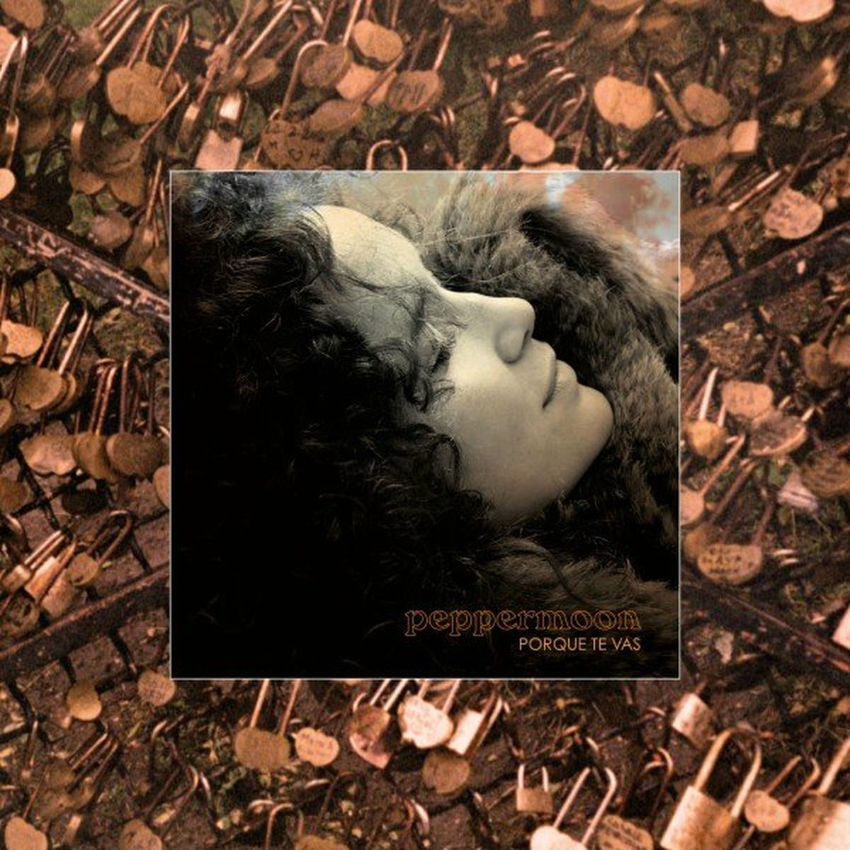 Album cover of Porque Te Vas