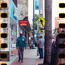 Cover of Palo