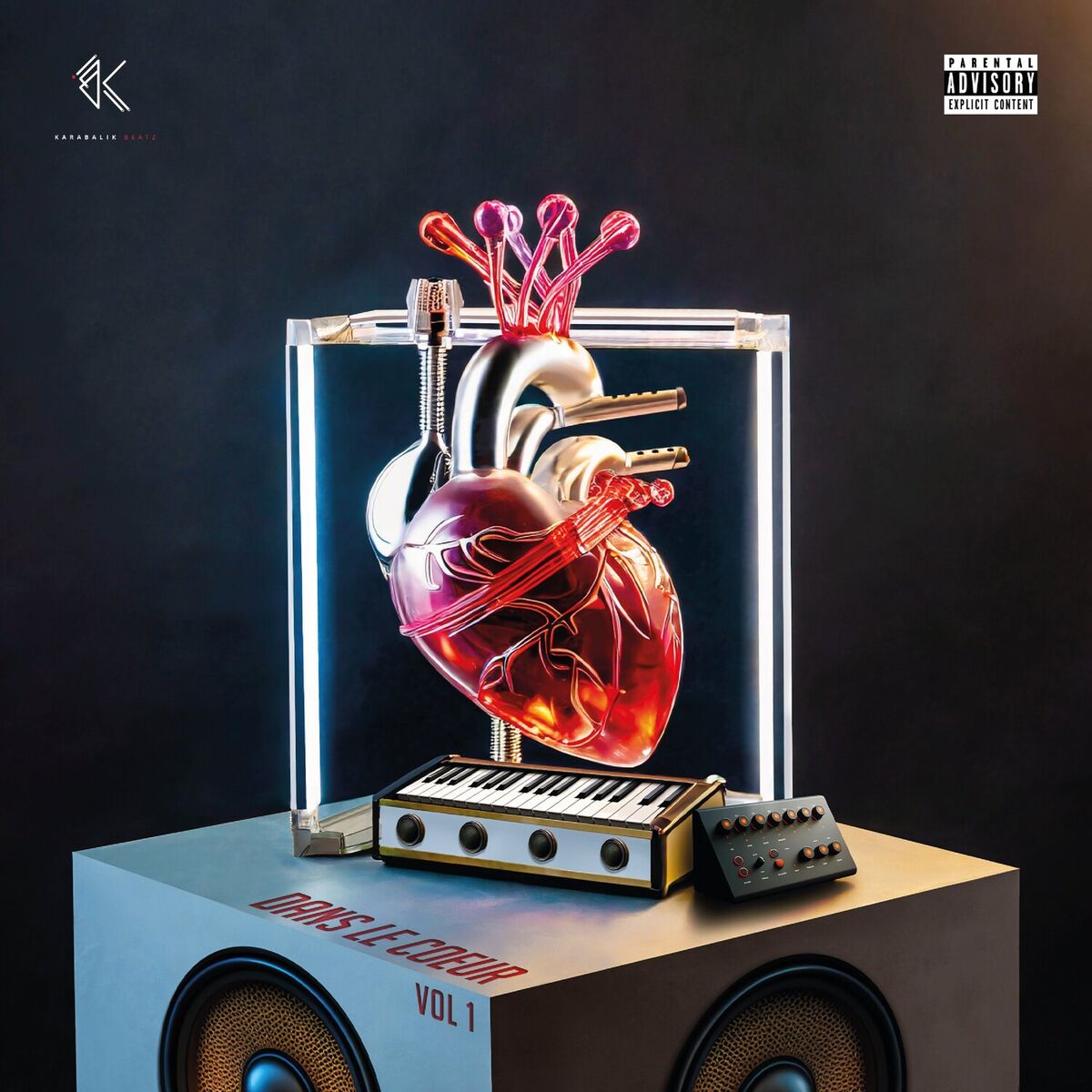 Album cover of Dans le coeur