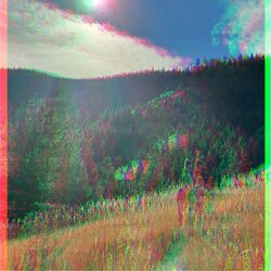 Cover of Go Up