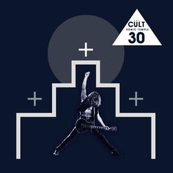 Cover of Sonic Temple 30th Anniversary