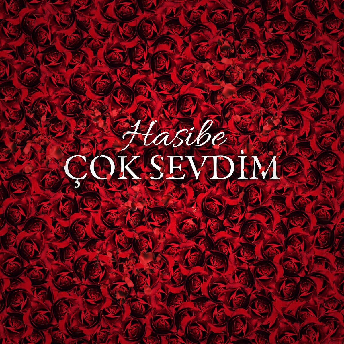 Album cover of Çok Sevdim