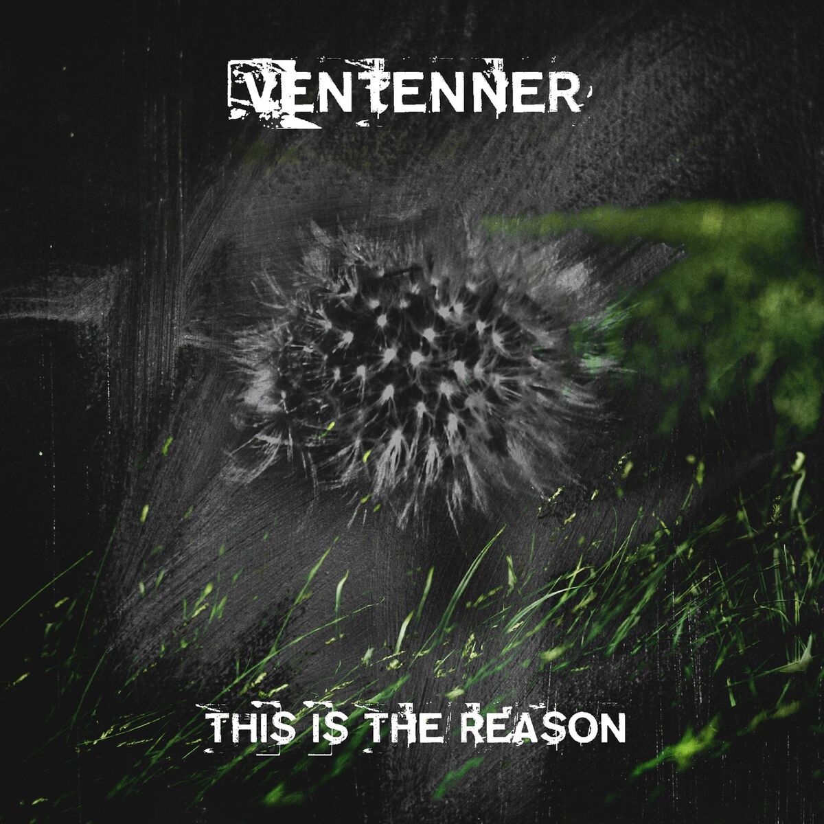 Album cover of This Is the Reason