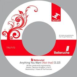 Cover of Anything You Want (Not That)