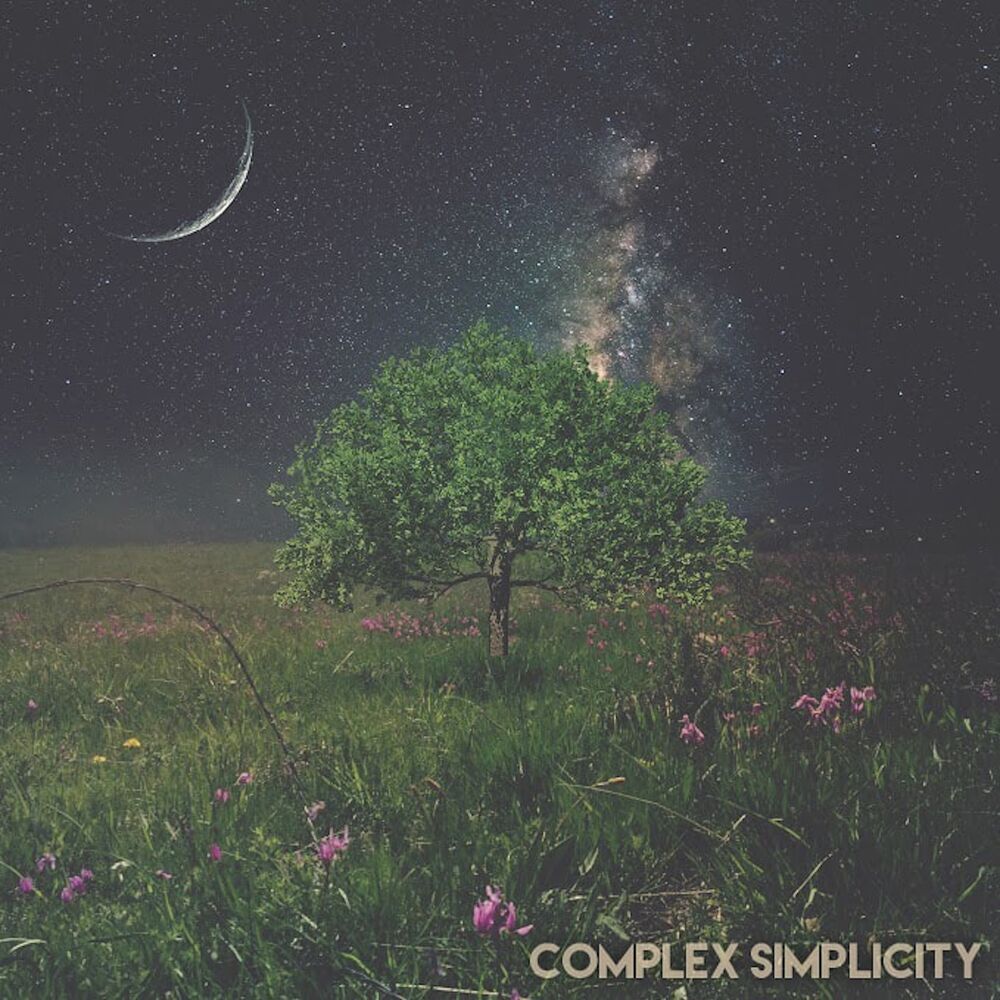 Picture of Complex Simplicity