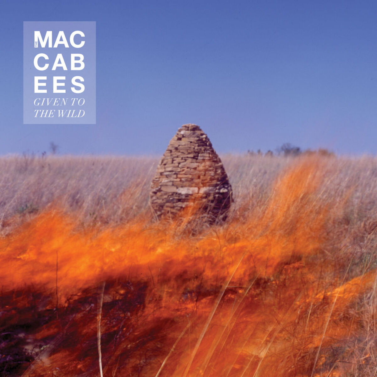 Album cover of Pelican