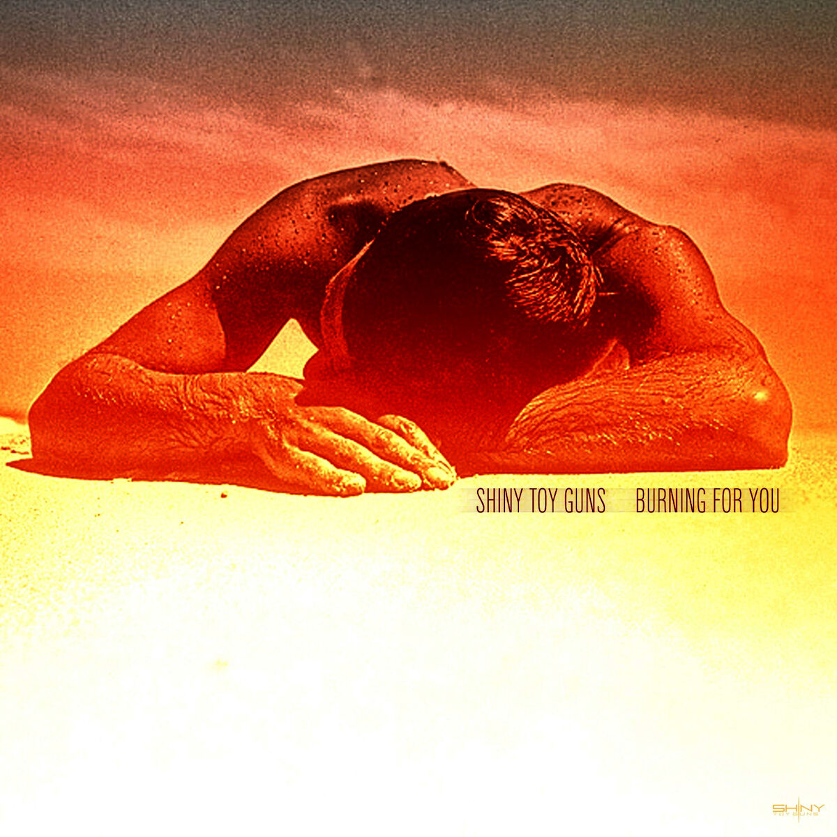 Album cover of Burning For You