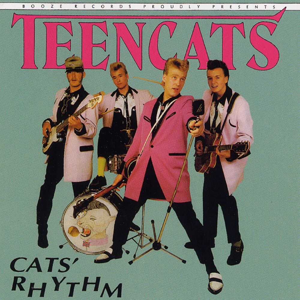 Picture of Cats Rhythm