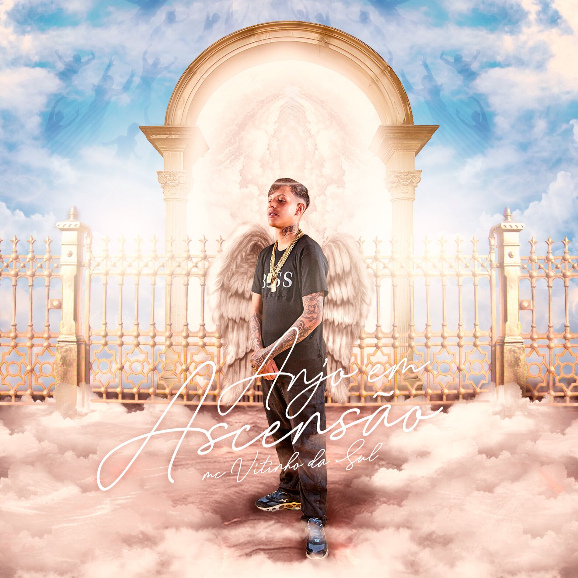 Album cover of Anjo Em Ascensão