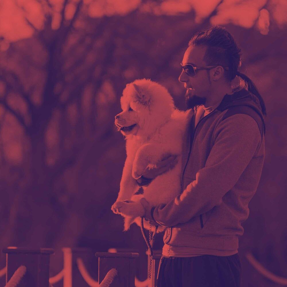 Picture of Guitar Jazz - Background for Roaring Pups
