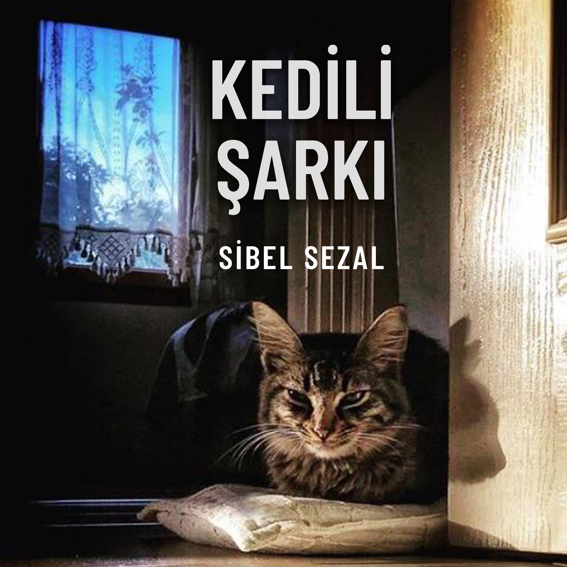 Album cover of Kedili Şarkı
