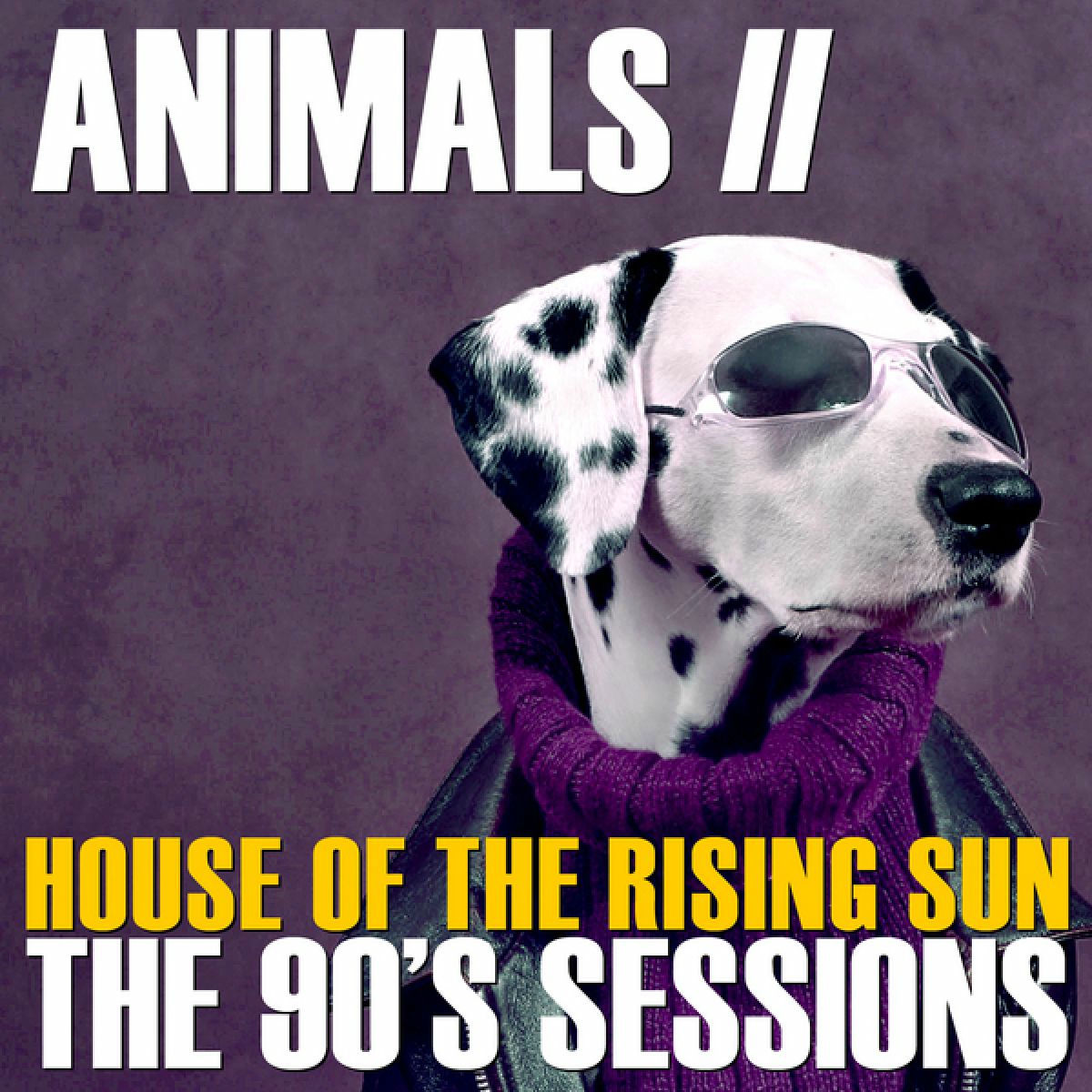 Album cover of House of the Rising Sun the 90's Sessions