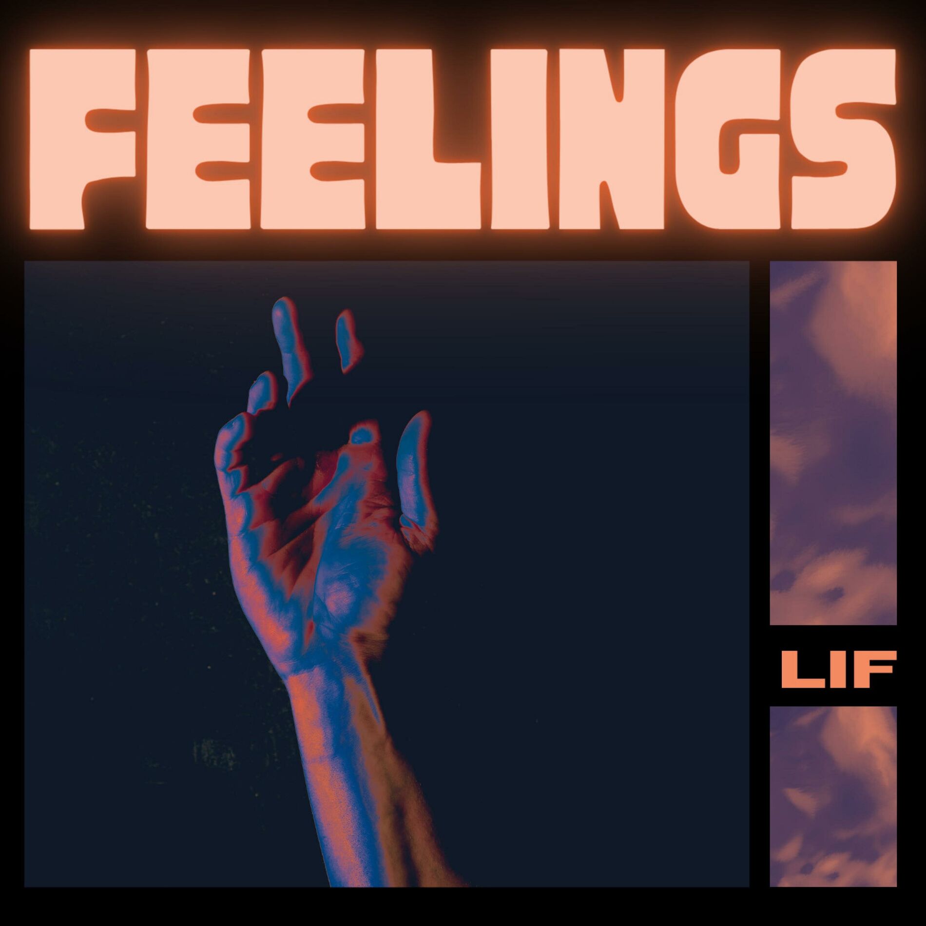 Album cover of FEELINGS