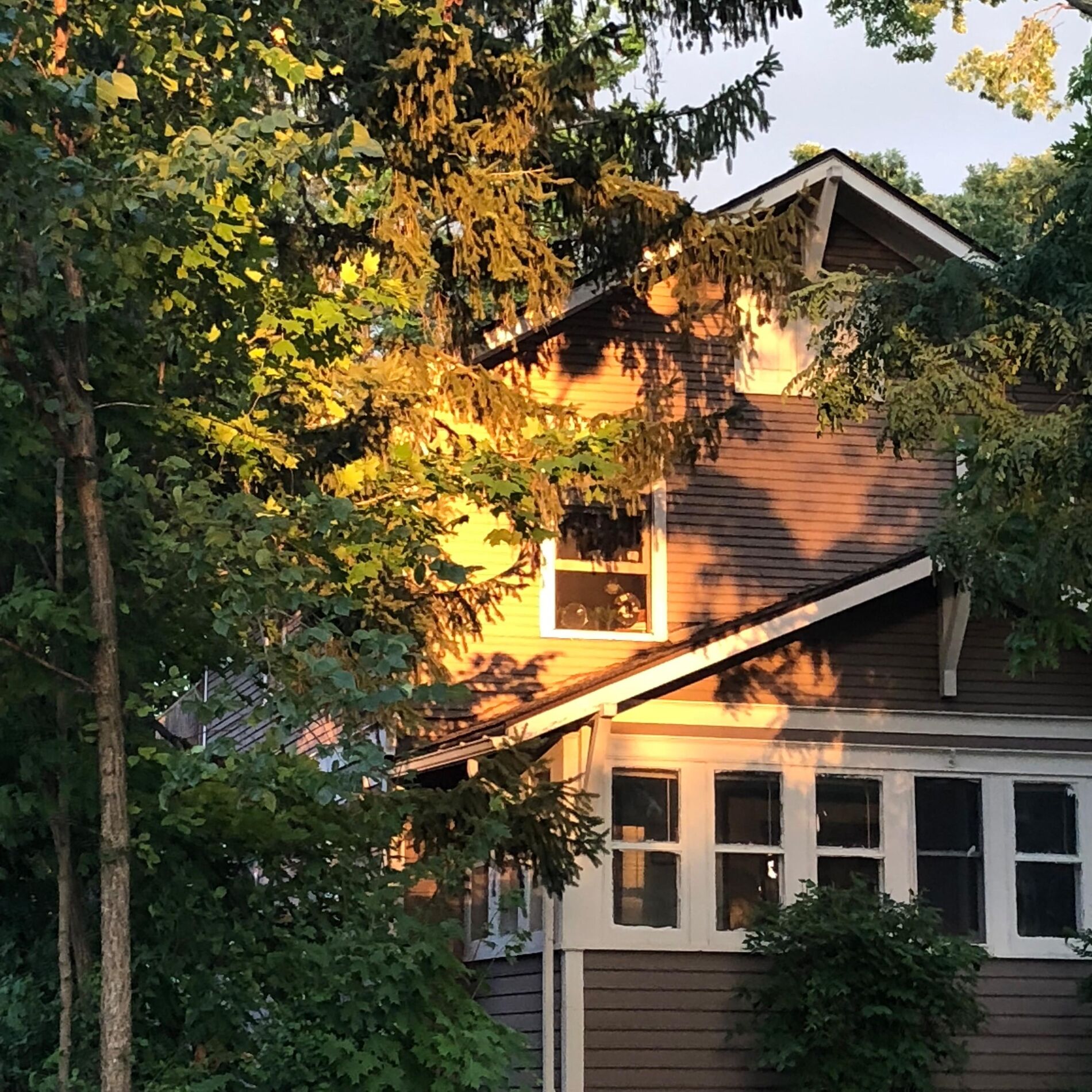 Album cover of Thankful
