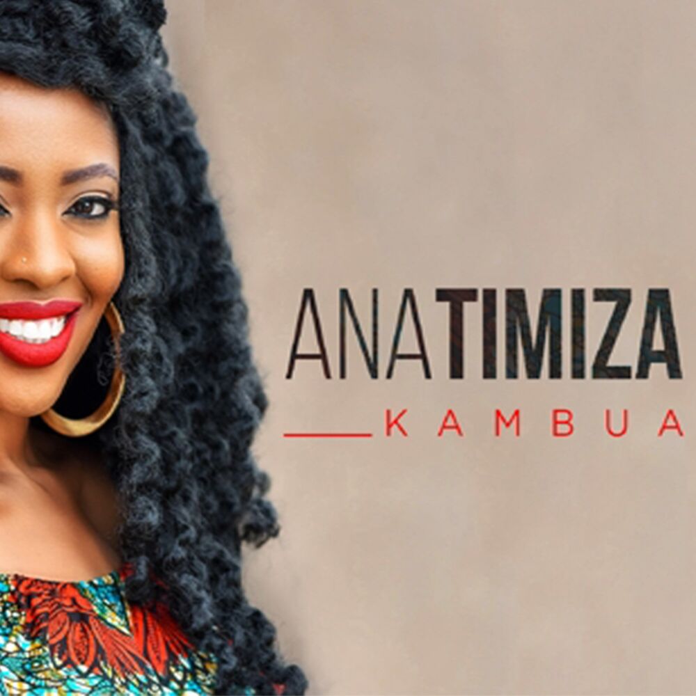 Picture of Anatimiza