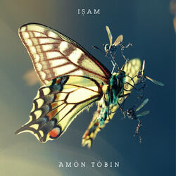 Cover of ISAM