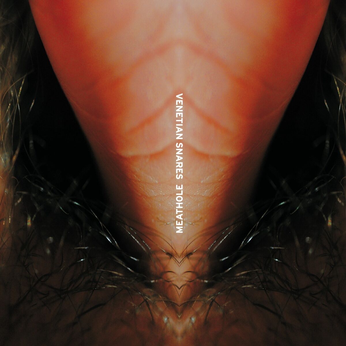 Album cover of Meathole
